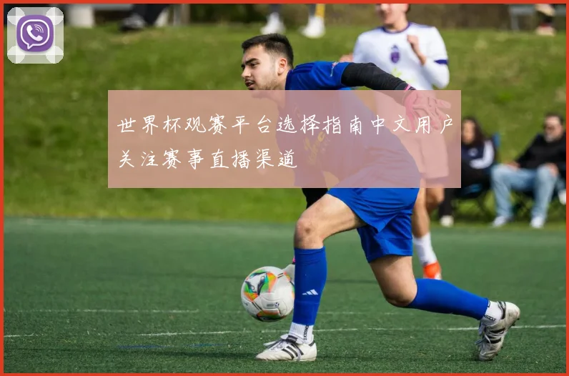 世界杯观赛平台选择指南中文用户关注赛事直播渠道